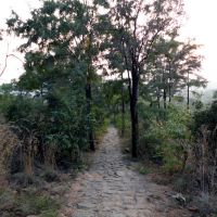 Way between Ramanashramam & Skandashramam3, Тируваннамалаи