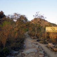 Way Between Ramanshram and Skandashramam, Тируваннамалаи