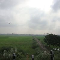 9092  ரயில் வழி திருநெல்வேலி  Rail line through paddy field of Thirunelveli  20111217  08.48.44, Тирунелвели