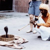 Fachiro con cobra, Agra - India (1985), Агра