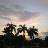 Μια άποψη το απόγευμα από το πάρκο, Аллахабад