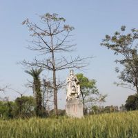 The statue of Kalbe Ali Khan, Рампур