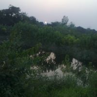 Green Rampur, Рампур
