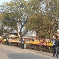 Rehri (handcart) Bazaar, Амбала