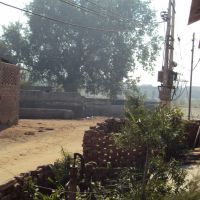 Patram Gate wala Johad, Бхивани