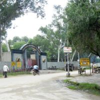 Bhiwani Zoo, Бхивани