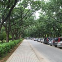 Walkthrough at the Cubbon Park, Bangalore, Бангалор