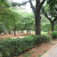 Walkthrough at the The Cubbon Park at Bangalore, Бангалор