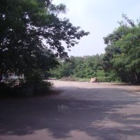 கோயம்பேடு കോയംബേടു కోయంబేడు कोयमबेडू   SAF Games Village - Koyambedu  1494, Мадрас
