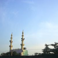 Mosque. 5883, Мадрас