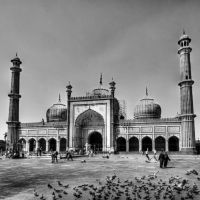 Jama Masjid (Old Delhi, India), Дели