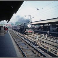 delhi, train hunting pigeons © weggi.ch, Дели