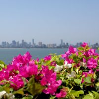 Bombay: Marina Drive, Бомбей