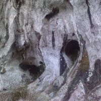 Tuñón, Santo Adriano, Asturias, Cueva de Sabadía, Гийон