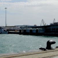 Puerto de Cádiz, Алжекирас