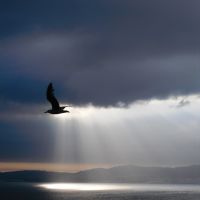 Volando al Cielo por la Ría de Vigo. España., Виго