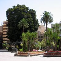 Murcia, Plaza de Santo Domingo, Мурсия