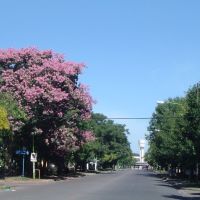 Avenida Mitre., Кампана