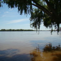 Campana (Bs.As.) - Vista del rio Paraná de las Palmas - ecm, Кампана