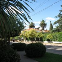 cuadra-jardin  de calle Beruti., Кампана