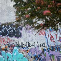 Graffitis, Мар-дель-Плата