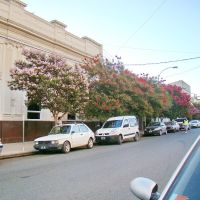Necochea (Bs.As.) - Coloridos árboles frente a la sede bancaria en calle céntrica - ecm, Некочеа