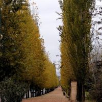 Parque Mendoza, Мендоза