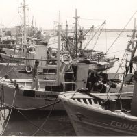 Bari fishing-boats 1968, Бари