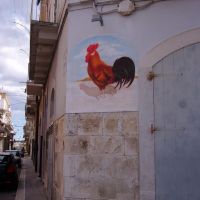 Un gallo  sul muro, Корато