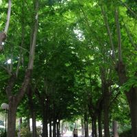 Giardini pubblici_viale_Lecce, Лечче