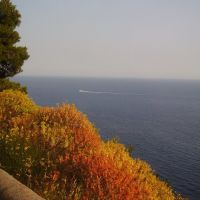 Amalfi coast (Contest 2/2011), Амалфи