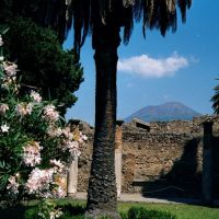 Pompeii 8, Торре-Аннунциата