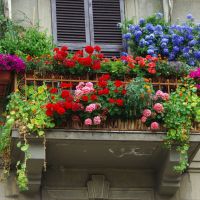I fiori sul balcone., Ла-Специя