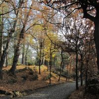 autunno ai Giardini Estensi, Варезе