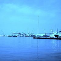 Ancona: "nel blu dipindo di blu" (the port), Анкона