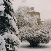 Snowfall 1990, Верцелли