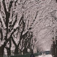 Walking In The Snow, Верцелли