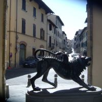 Chymera (Arezzo), Ареццо