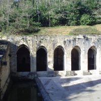 Fontana delle fate-Poggibonsi, Виареджио
