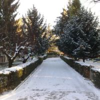 Vialetto dinverno, Модена