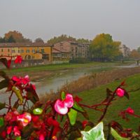 ITA Parma [Parma] from Ponte di Mezzo by KWOT, Парма