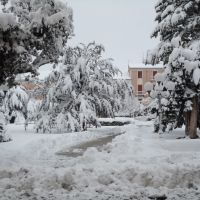 Nevicata del 22-01-2011, Кампобассо