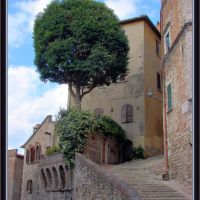 Un albero cresce a Perugia, Перуджа