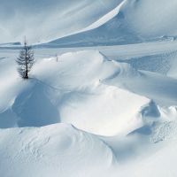Magány (solitude) Alpok, Тарвизио