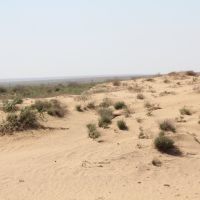 Песчаная пустыня, Шубаркудук
