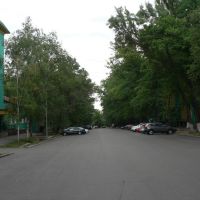 Baiseitovoi, View from Shevchenko, Алма-Ата