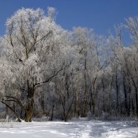 snow and frost, Белогорский