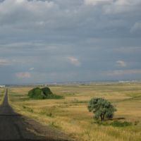 Road to Shakhtinsk, Жарык