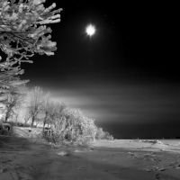 зимняя ночь, Никольский