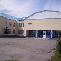 Муз Школа, Боровской